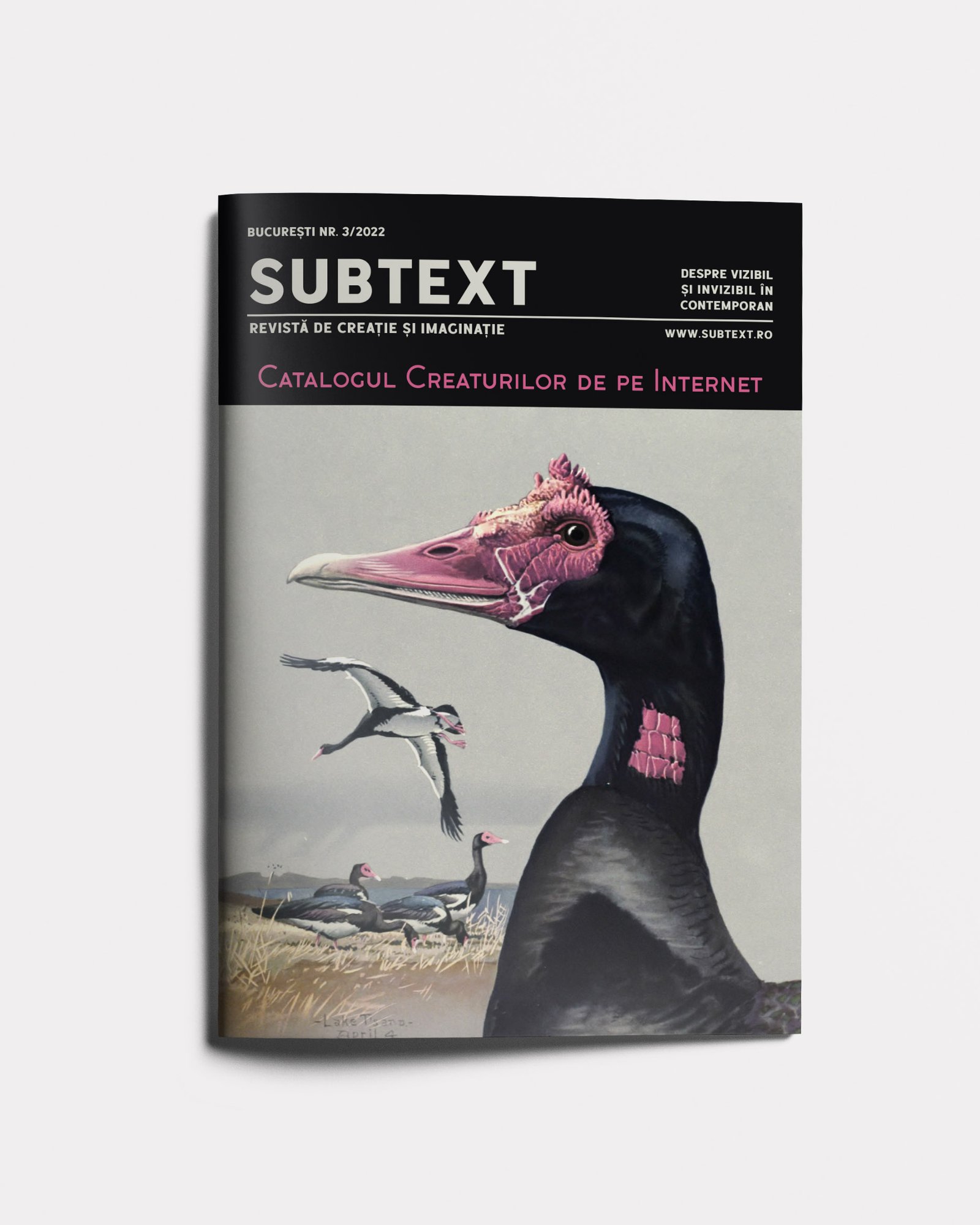 Revista Subtext